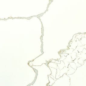 New Calacatta Laza Gold